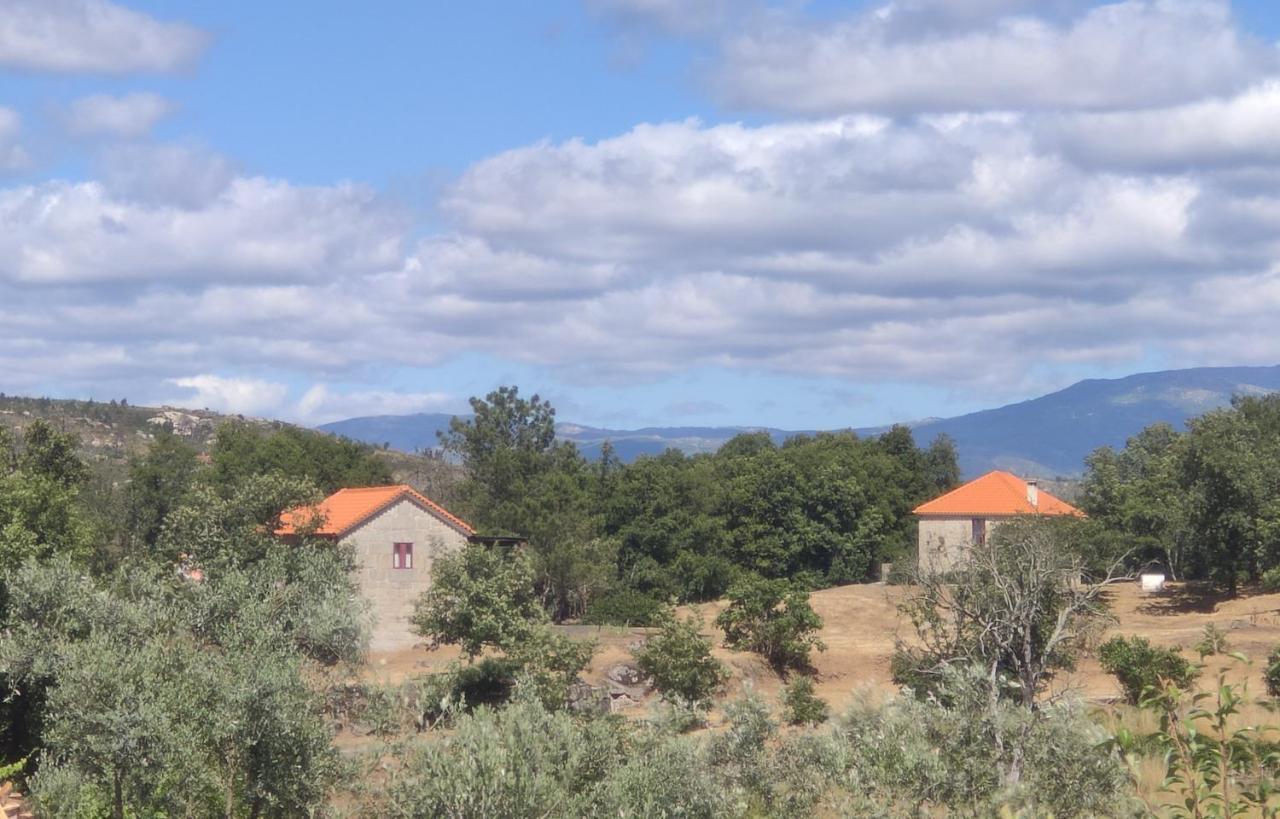 Quinta Da Adarnela Apartment Lagares da Beira Luaran gambar